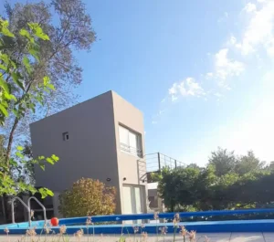 las moras 2