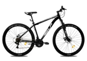bici