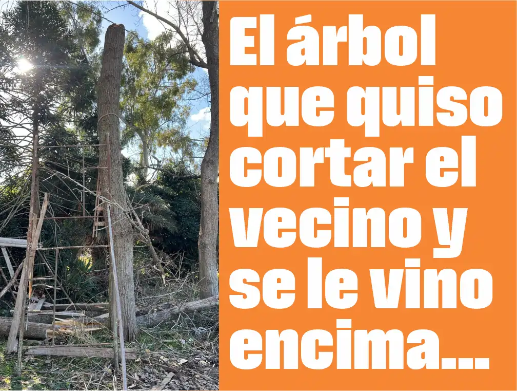 arbol